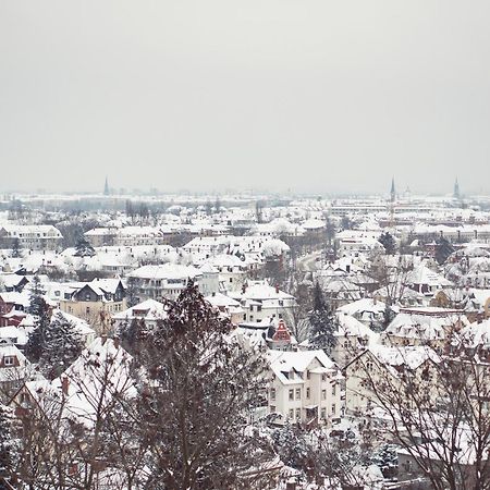 Bergwirtschaft Wilder Mann Hotel Und Restaurant Dresden Eksteriør billede