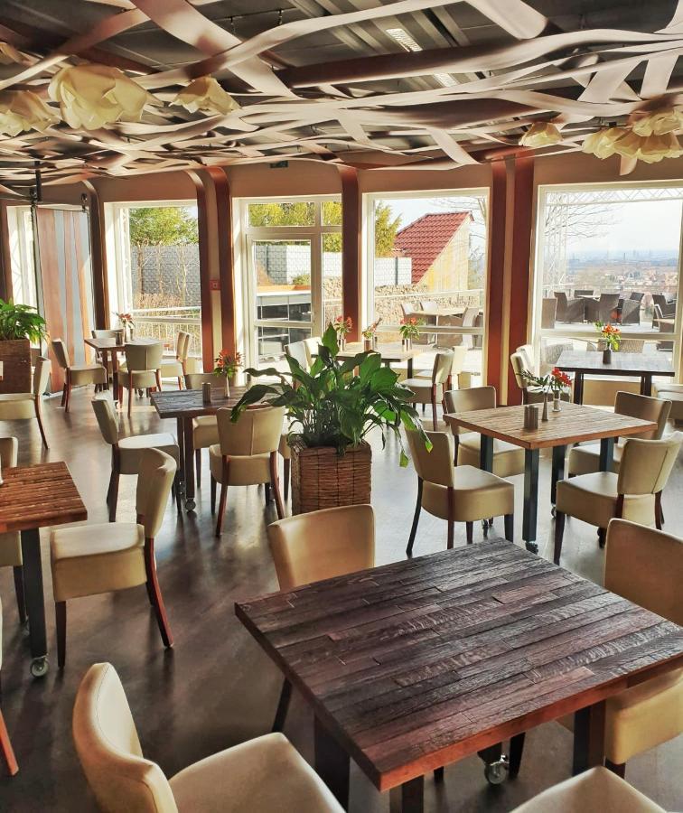 Bergwirtschaft Wilder Mann Hotel Und Restaurant Dresden Eksteriør billede